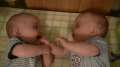 Twin Babies laugh at each other- Cutest video ever!! 