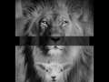 The Lion of Judah 