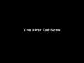 Righteous Insanity: The First Cat Scan 