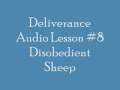 08 Disobedient Sheep 