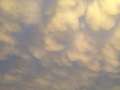 Very Odd Mammatus Clouds 