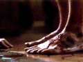 At Your Feet ~ Natalie Grant 
