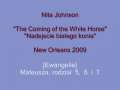 Nita Johnson - The Coming of the White Horse 7/10 