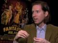 FANTASTIC MR. FOX wes anderson interview 
