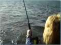 My Virginia Beach Striper Fishing Trip Out of Rudee Inlet 