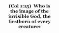 Was Jesus the Image of God? 