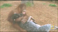 The Orangutan and the Hound 