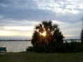 Sarasota Sunsets 