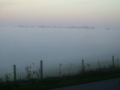 Wall Of Fog 