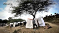 Haiti: Strength Is Found Among The Tents 