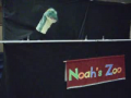 Noahszoo 05-02-10 Protection