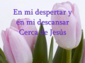 Cerca De Jesus 