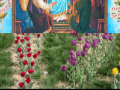 AVE MARIA (Ave Marija)