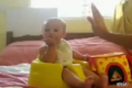 Dog Figures Out High Five Before Baby 