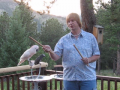 Parrot behavior tips / bond with your bird 