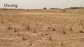 Food Banks Keep Villagers From Going Hungry in Niger 