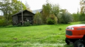 Cute dog mowing lawn 