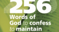 256 WORDS OF GOD TO CONFESS (POWERFULL PRAYERS): The book: Author Allan Rich 