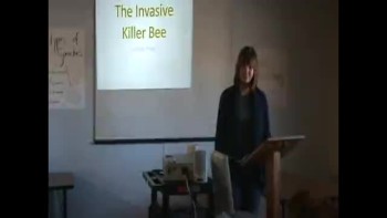 Informative Speech- Killer Bees 