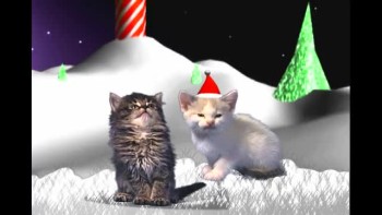 Jingle Cats - Silent Night 