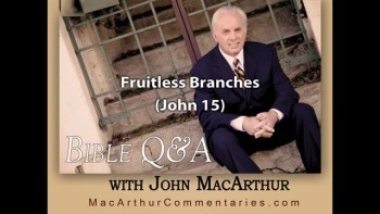 Fruitless Branches (John 15:2, 6) 
