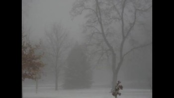 On a wintery foggy day, reflecting on things...