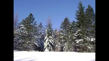 Took these pictures while going 60 miles per hour over the Blue Mountains in Oregon on a clear blue winter day after a fresh snow. Beautiful.