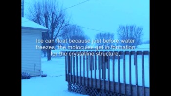 Though they are all H2O, ice, steam, and water are vastly different, like the religions of this world.