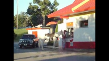A Man and Horse Going Through McDonald's Drive Through 