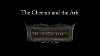 Noah_s Ark and the Cheetah.flv 
