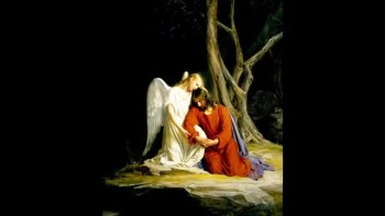 Composition by Martin Pals played on Lute.