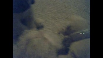 Carrie and Cloe have a question. Who knows what it is about.