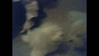 Carrie and Cloe are having their graduation. They think its going to be fun. 