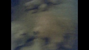 Carrie has to say bye to Cloe and say hi to home. Even know shes happy about going home still means shes sad to be away from Cloe.