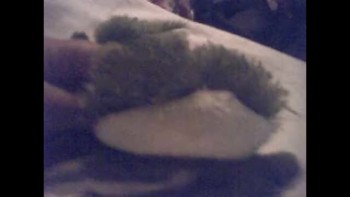 Sashatheturtle,just sit back and relax!!!<br />:)