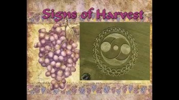 Harvesting - Signs of Resurrection 6 