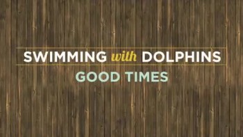 Swimming with Dolphins - Good Times (Slideshow with Lyrics) 