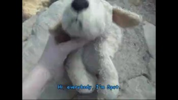 I, my family and Spot visit the Grand Canyon for the first time. God's creation is so amazing...