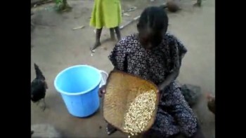 Eating Termites in Sudan 