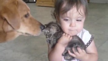Baby + Kitten = ADORABLE 