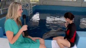 DOLPHIN TALE - Winter interview 
