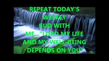 Lord, My Life and Well Being Depends on You! - Weekly Bud 8.15.11 