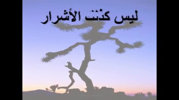 Psalms 1 - Arabic - المزمور الأول