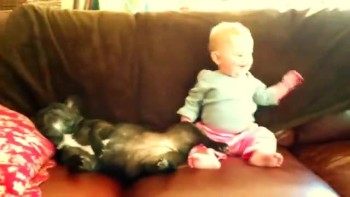 Absolutely Adorable! Baby laughs at snoring dog! 