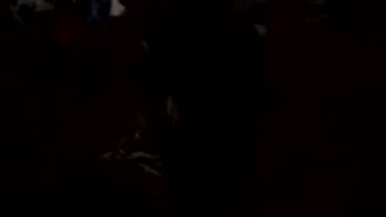 For any Information Write to:<br />Apostle Dela Frempong<br />P.O Box HP672<br />Ho Ghana<br />West Africa<br /><br />Telephone:(011233)208187050 (011233)362026284 (786) 286-9110