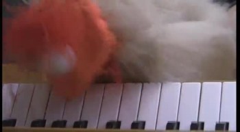 Chicken plays the piano 