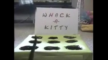 Whack-A -Kitty 