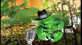 Reincarnated Frank Sinatra Four Leaf Clover Doing a Set on St. Patrick's Day