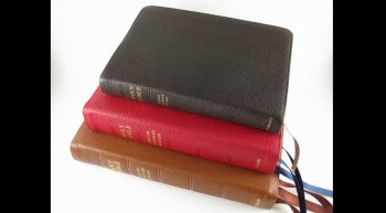 3-11-12 Allow God's Word to Sustain You 