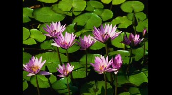 Inspirational Music-reminder of God's grace.